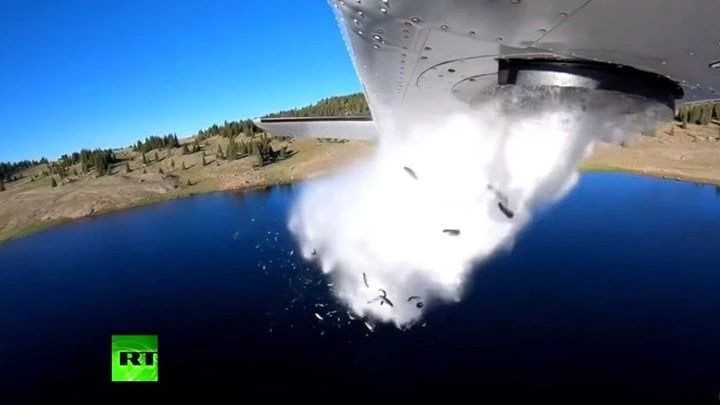 Σε αυτή τη λίμνη έβρεξε… ψάρια και ο λόγος; – Δείτε το βίντεο